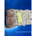 Anillos de calamares congelados y tentáculos illex coindetiii